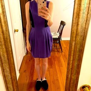 DONATED Elizabeth and James Sleeveless Bubble Dress